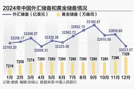 外汇储备连续13个月站稳3.2万亿美元大关，央行扩大黄金储备图片