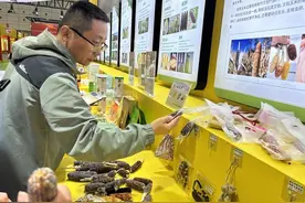 文玩观赏玉米走俏，亮相全国粮油和大豆产业博览会图片