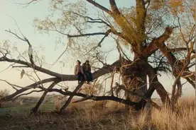 《我的阿勒泰》何以带火阿勒泰图片