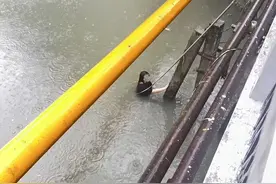 “爸”气保安！不顾危险勇救落水女孩图片