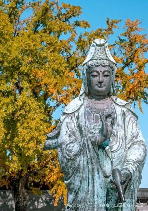 宝华山滑雪场开放时间定了