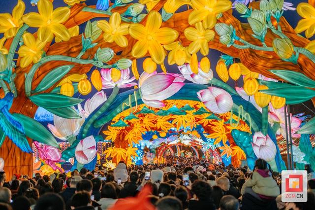 自贡灯会斩获“2025旅游创新贡献奖” 千年非遗点亮夜间经济新范式