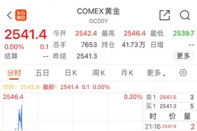 历史上首次！每块金条价值超100万美元！大行预测：黄金明年有望见3000美元大关图片