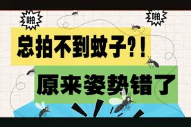 快看！拍死蚊子的正确姿势图片