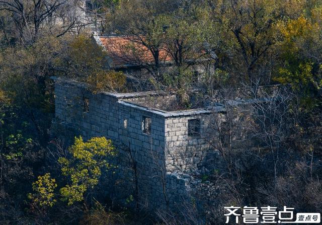 壹点号·秀山东丨淄博牛记庵：秋色浸染古村落，金黄火红映石巷