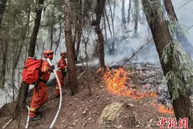 川陕跨界山火成功扑灭 现场转入看守阶段图片