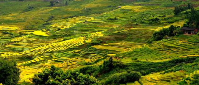 航旅融合｜抽机票福利啦！别再问三明的秋色有多美！给你点“颜色”瞧瞧～