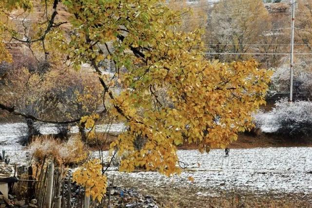 今日多地下雪！冰雪世界的川西正式上线