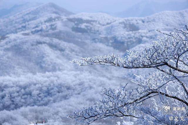 晚潮｜桐杭岗今冬第一场大雪
