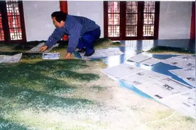 手造华章|非遗传承人刘新芳：用面塑留住威海记忆图片