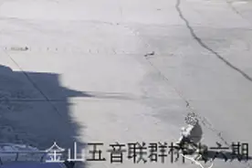 萌娃马路上“飙车”迷路，民警护送回家！图片