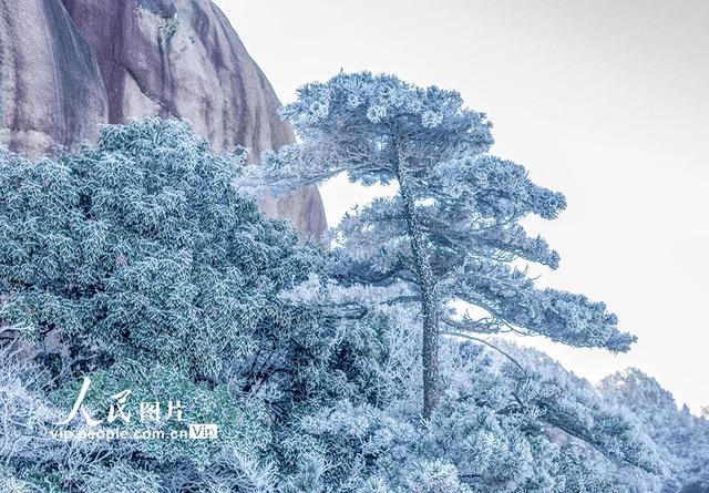 安徽池州：九华山雾凇美景迷游人