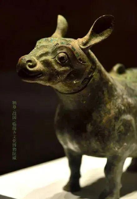 明确了！淄博的春天这样玩，过瘾