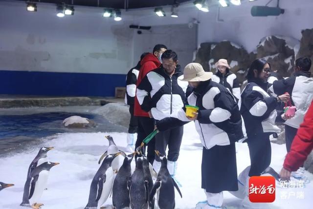组图｜中外媒体团走进陵水 沉浸式感受海南海洋保育与海岛魅力