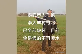 泰安东平一村民举报高标准农田作假、喷头下无水管，主管部门回应图片