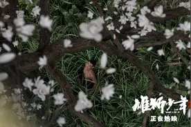 《雄狮少年2》：劳动雄狮、战斗野草的进化史图片