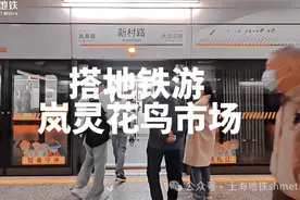 搭地铁游花鸟市场 感受不一样的市井烟火气图片