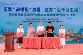揭阳惠来：岐石镇“政银担”合力助农养好“致富虾”图片