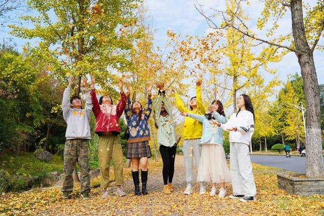 临安，一座被银杏腌入味的城市