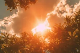 今年夏天为何这么热？高温天气还会持续下去吗？图片
