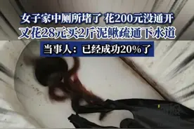 女子花28元买2斤泥鳅疏通厕所下水道最新进展：已经成功20%了图片