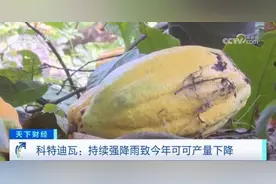 价格飙升，45年来最高！图片