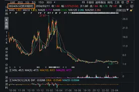 胜利精密造假“后遗症”：赔偿47名投资者1557万，去年业绩亏损逾7亿元图片
