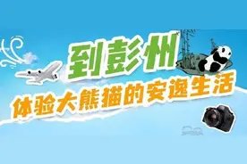 到成都彭州，体验大熊猫的安逸生活图片