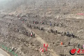 潍坊昌乐：春风十里催新绿 共绘生态新画卷图片