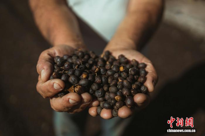 图片关键词 图片关键词