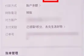 男子趁女友熟睡时用其手机给自己网贷转账10余万，换女友后故技重施图片