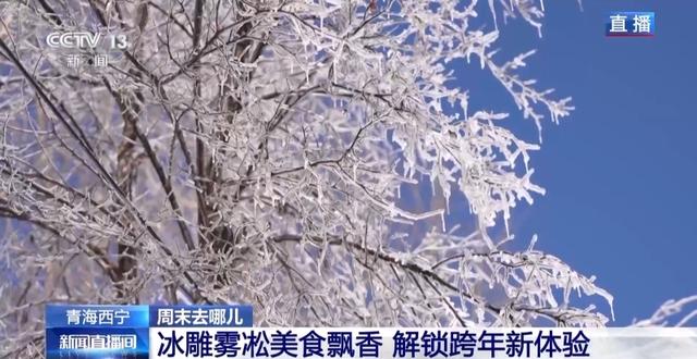 视频丨赏冰雕品美食 穿唐装游古街 周末开启跨年欢乐模式