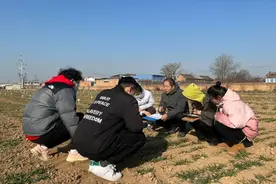 杨凌：树起“科技兴农”新标杆 端牢“中国饭碗”图片