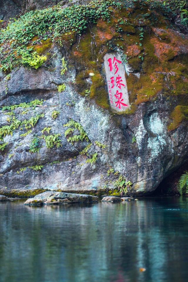 南京的春，一半在江北