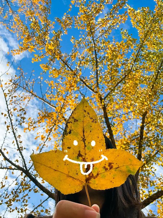 “秋假”第一站！上饶把最美的颜色，“晒”给你看