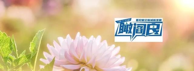 瞰·阎良——中航西飞A321机身系统装配合作项目开工