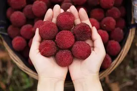 健康小站丨多人猛吃杨梅进医院！医生建议：吃不完可以这样做图片