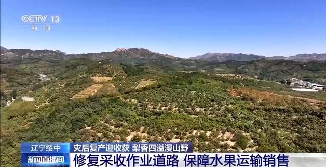 辽宁海参多少钱一斤 2026年辽宁大连海参多少钱一斤