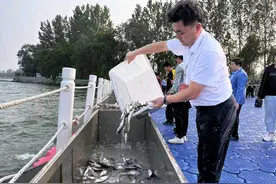 放流900万尾鱼苗，潍坊峡山区开展增殖放流活动图片