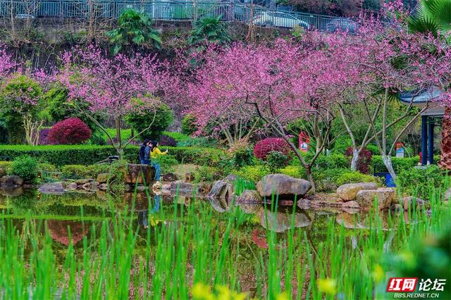 【赴春之约】株洲烈士纪念园：不只有庄严，还有被春天灌满的温柔