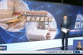 华为来了，上海青浦民宿火了图片