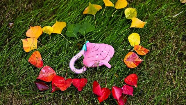 南京，你“叶”太可爱了！