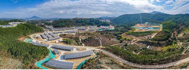 从青梅树下到碧海潮声——诏安文旅融合新图景邀您共赏