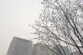 沙尘预计傍晚来，明天上午北风强劲局地有扬沙图片