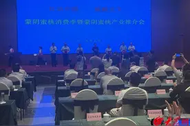 “红动中国 桃醉天下” 蒙阴蜜桃消费季暨蒙阴蜜桃产业推介会举行图片
