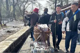 “机器狗”峨眉山当背夫把猴哥惊“炸毛” 专家：正常应激反应，见多了就好了!图片