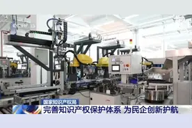 国家知识产权局：完善知识产权保护体系 为民企创新护航图片