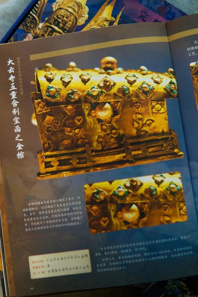 第一批带孩子跟风去博物馆打卡的受害者，已经出现了......