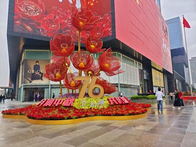 这边风景“郑”好（三）：花海成景 节日色彩分外浓
