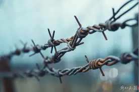 俄方抓获三名乌间谍图片